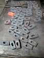 Hammerrohlinge  